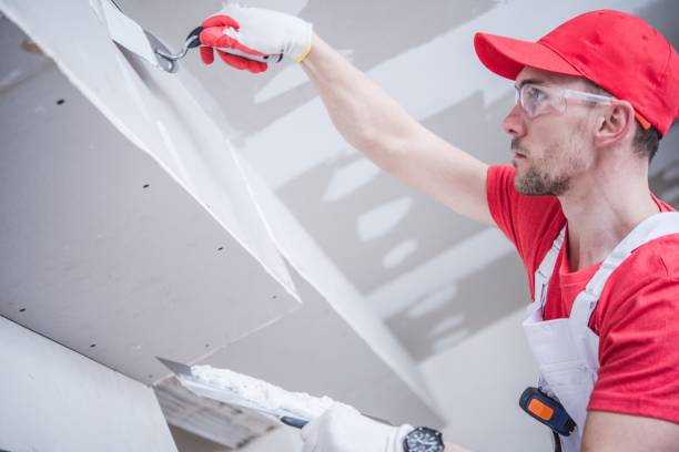 Best Ceiling Drywall Installation  in Fobes Hill, WA